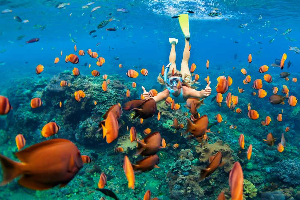 maldives scuba